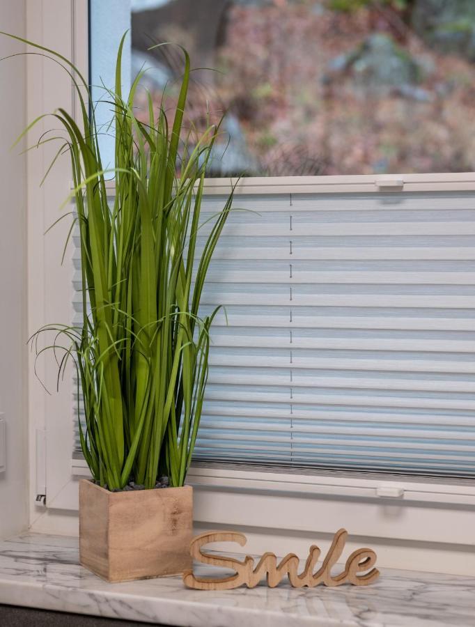 Am Quellenhaeuschen Apartment Naila Bagian luar foto