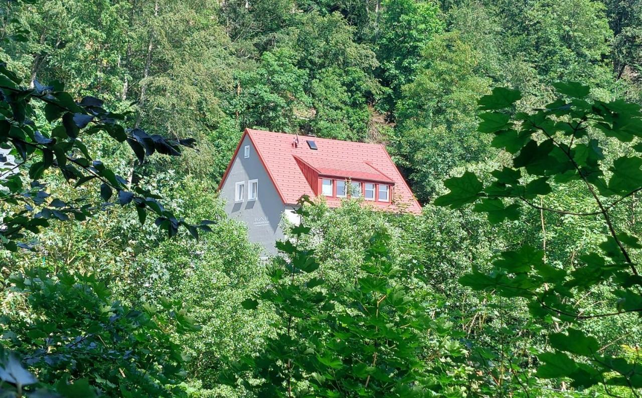 Am Quellenhaeuschen Apartment Naila Bagian luar foto
