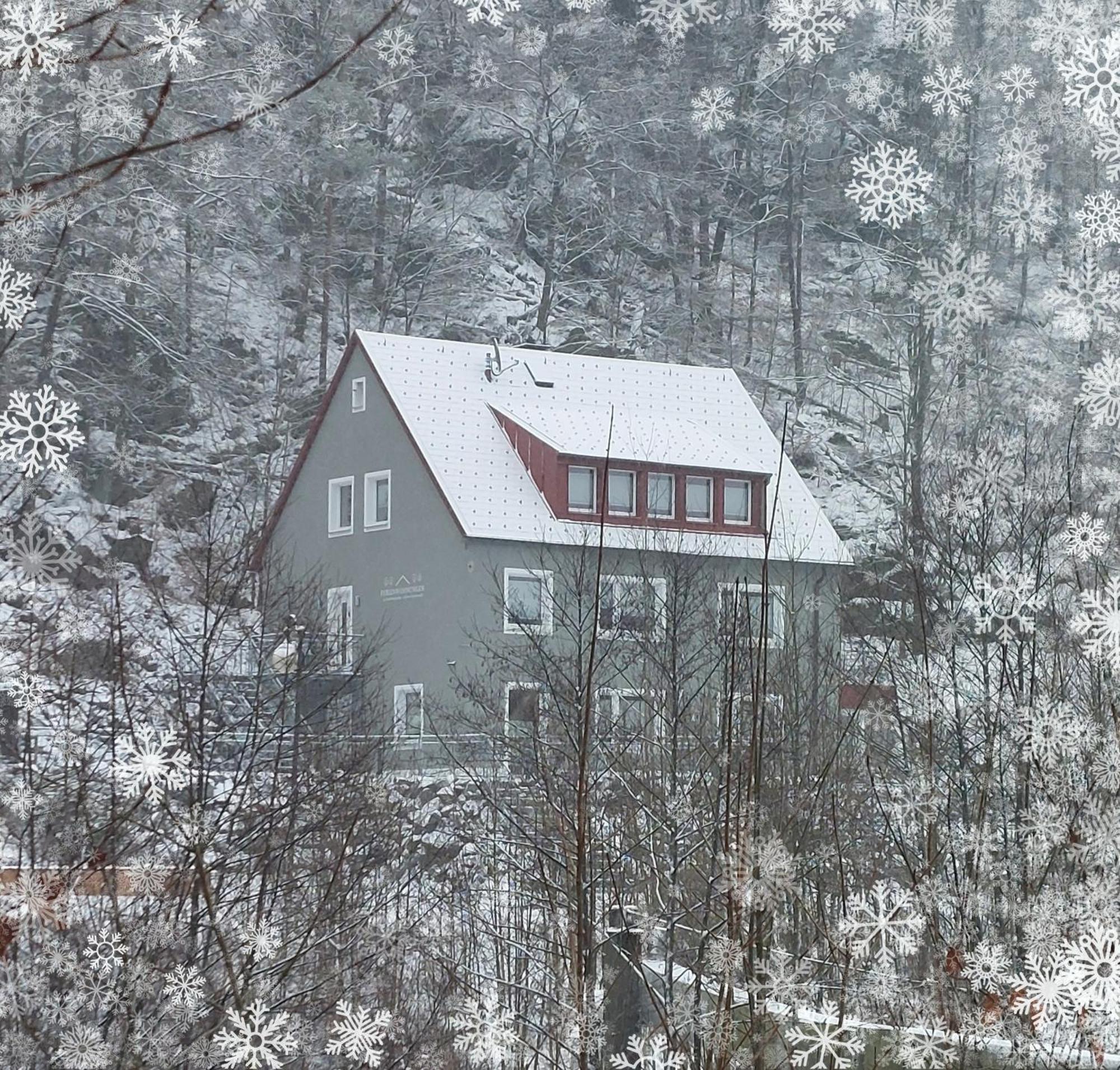 Am Quellenhaeuschen Apartment Naila Bagian luar foto